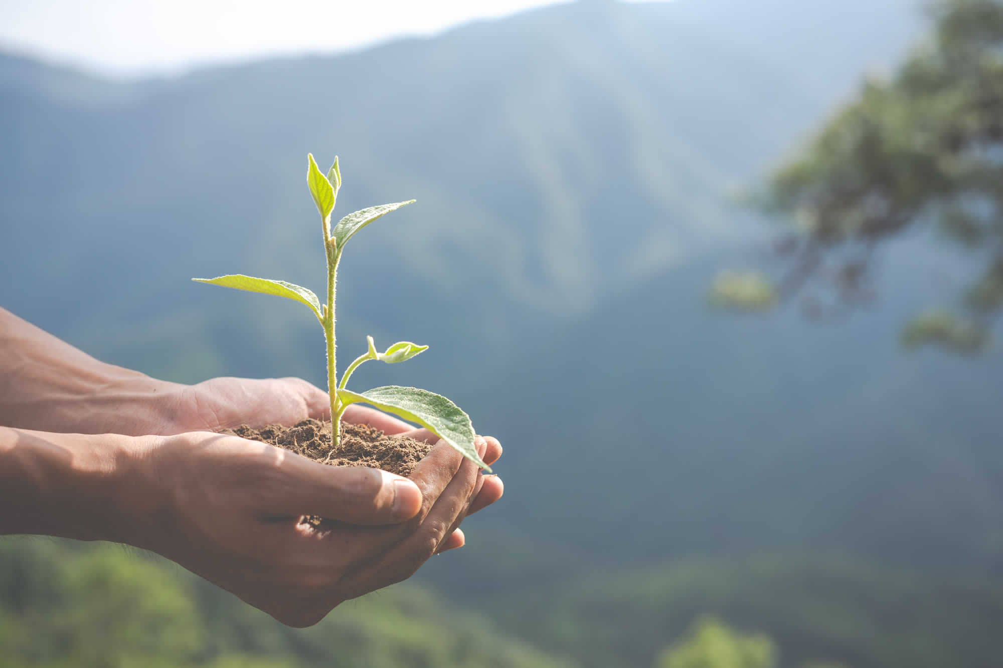 ALDEX GROUP | GESTION AMBIENTAL